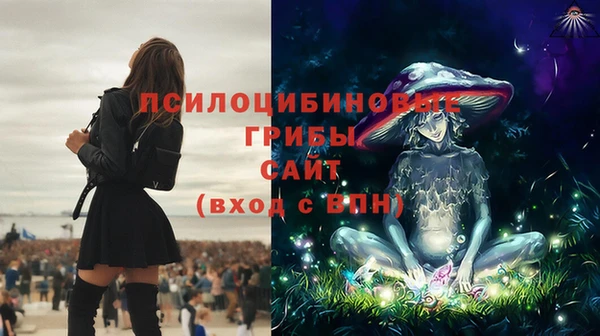 альфа пвп Армянск