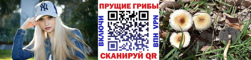 Галлюциногенные грибы Magic Shrooms  наркотики  Солнечногорск 